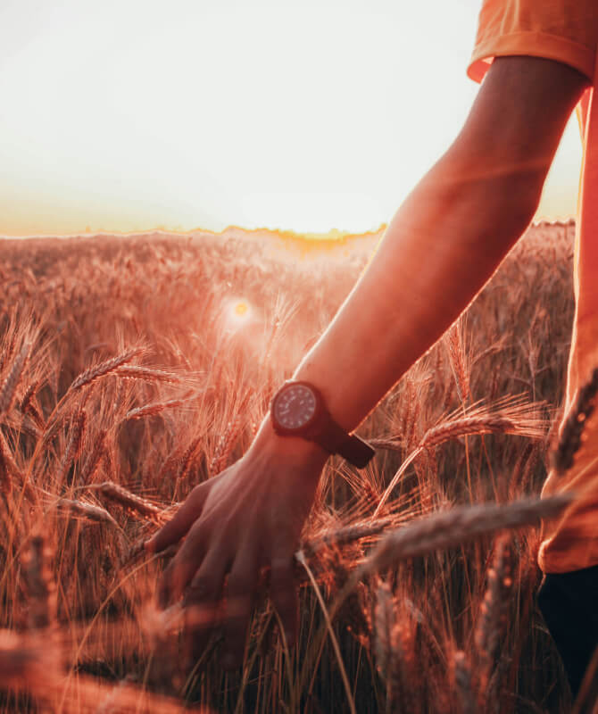 Virtual Reality project image